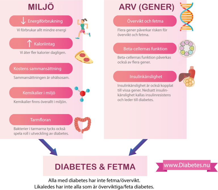 Denna figuren illustrerar vad som orsakar typ 2 diabetes. Sambandet mellan diabetes och fetma är mycket starkat. Personer med fetma har inte sällan diabetes eller förstadier till diabetes. Fetma och diabetes har många gemensamma orsaker, som kan delas upp i arv och miljö.
