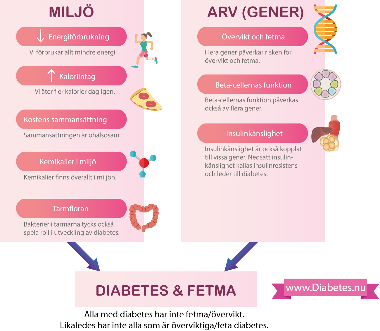 Denna figuren illustrerar vad som orsakar typ 2 diabetes. Sambandet mellan diabetes och fetma är mycket starkat. Personer med fetma har inte sällan diabetes eller förstadier till diabetes. Fetma och diabetes har många gemensamma orsaker, som kan delas upp i arv och miljö.