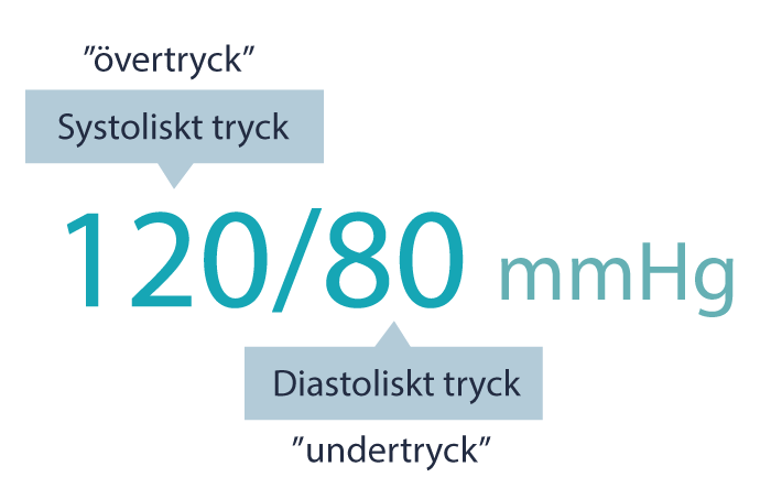 vad innebär lågt blodtryck vad innebär lågt blodtryck